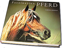 Book: Fascination Horse - Dream Team Equine